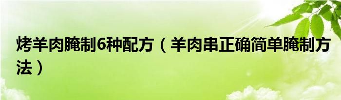 烤羊肉腌制6種配方（羊肉串正確簡(jiǎn)單腌制方法）