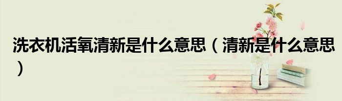 洗衣機(jī)活氧清新是什么意思（清新是什么意思）
