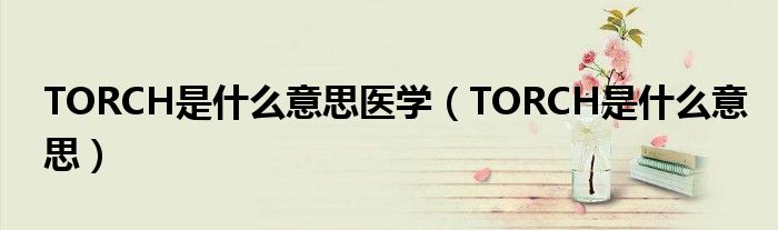TORCH是什么意思醫(yī)學(xué)（TORCH是什么意思）