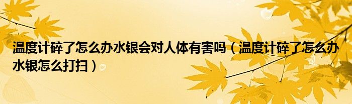 溫度計碎了怎么辦水銀會對人體有害嗎（溫度計碎了怎么辦水銀怎么打掃）