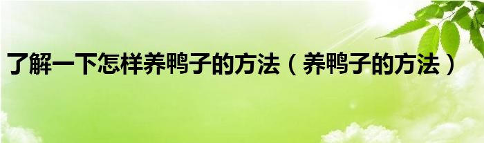 了解一下怎樣養(yǎng)鴨子的方法（養(yǎng)鴨子的方法）