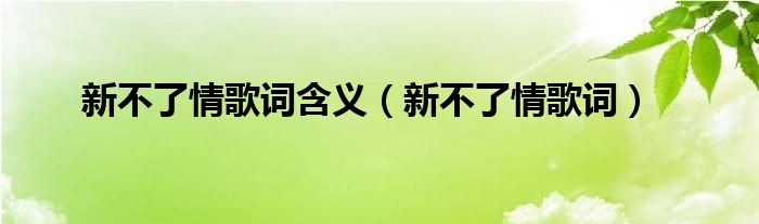 新不了情歌詞含義（新不了情歌詞）