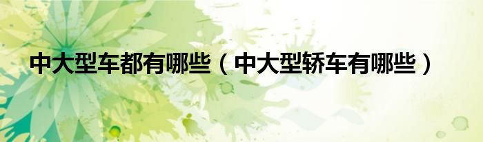 中大型車都有哪些（中大型轎車有哪些）