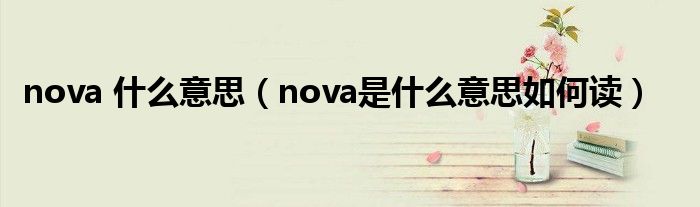 nova 什么意思（nova是什么意思如何讀）