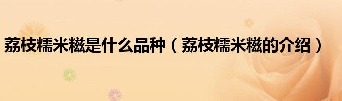荔枝糯米糍是什么品種（荔枝糯米糍的介紹）