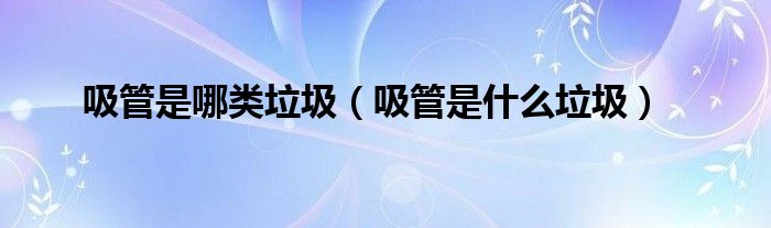 吸管是哪類垃圾（吸管是什么垃圾）