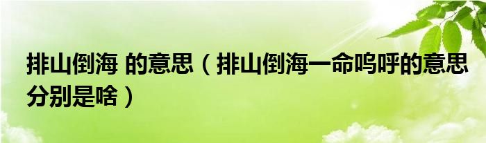 排山倒海 的意思（排山倒海一命嗚呼的意思分別是啥）