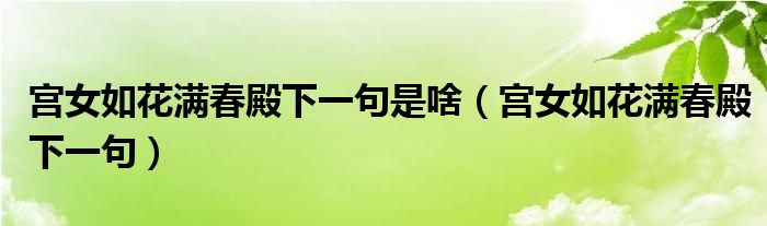 宮女如花滿春殿下一句是啥（宮女如花滿春殿下一句）