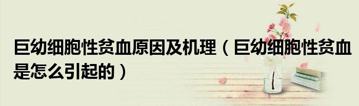 巨幼細胞性貧血原因及機理（巨幼細胞性貧血是怎么引起的）