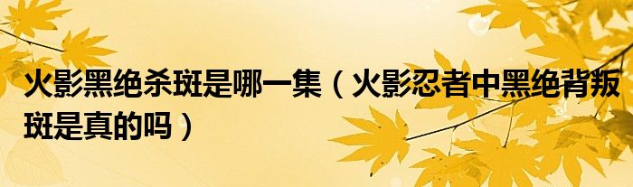 火影黑絕殺斑是哪一集（火影忍者中黑絕背叛斑是真的嗎）