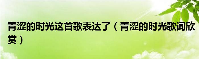 青澀的時(shí)光這首歌表達(dá)了（青澀的時(shí)光歌詞欣賞）