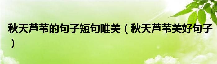 秋天蘆葦?shù)木渥佣叹湮溃ㄇ锾焯J葦美好句子）