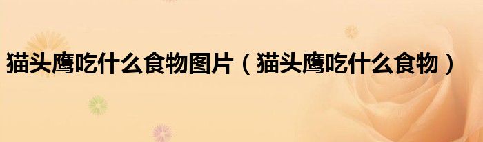 貓頭鷹吃什么食物圖片（貓頭鷹吃什么食物）