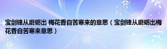 寶劍鋒從磨礪出 梅花香自苦寒來(lái)的意思（寶劍鋒從磨礪出梅花香自苦寒來(lái)意思）