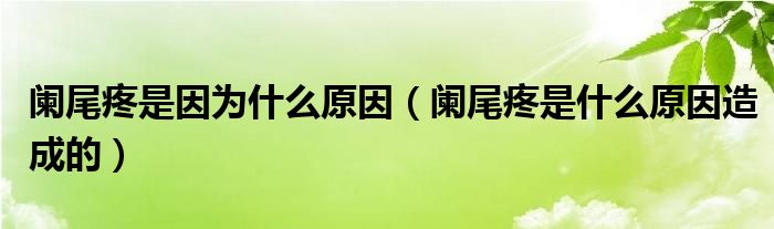 闌尾疼是因?yàn)槭裁丛颍@尾疼是什么原因造成的）