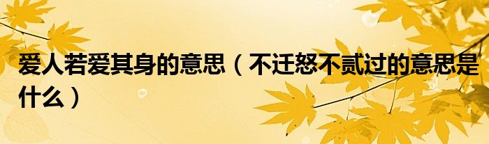 愛人若愛其身的意思（不遷怒不貳過的意思是什么）