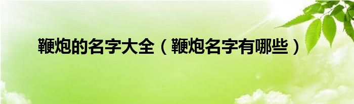 鞭炮的名字大全（鞭炮名字有哪些）