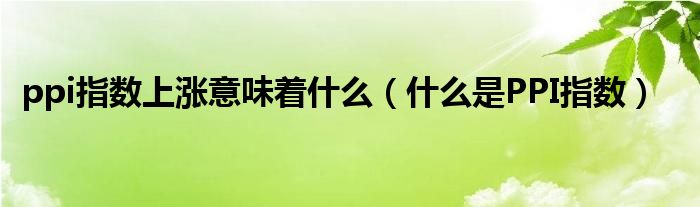 ppi指數(shù)上漲意味著什么（什么是PPI指數(shù)）