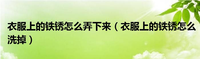 衣服上的鐵銹怎么弄下來（衣服上的鐵銹怎么洗掉）