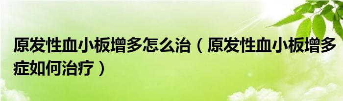 原發(fā)性血小板增多怎么治（原發(fā)性血小板增多癥如何治療）