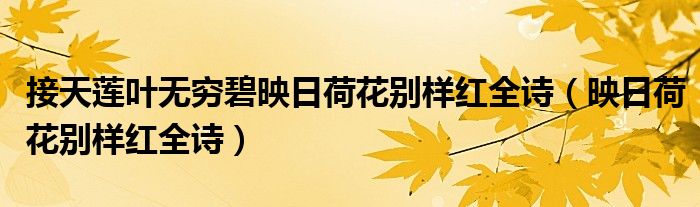 接天蓮葉無(wú)窮碧映日荷花別樣紅全詩(shī)（映日荷花別樣紅全詩(shī)）