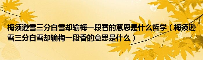 梅須遜雪三分白雪卻輸梅一段香的意思是什么哲學（梅須遜雪三分白雪卻輸梅一段香的意思是什么）