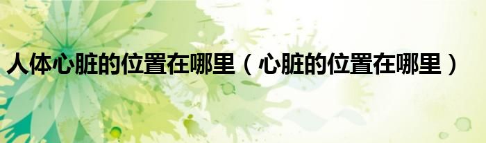 人體心臟的位置在哪里（心臟的位置在哪里）