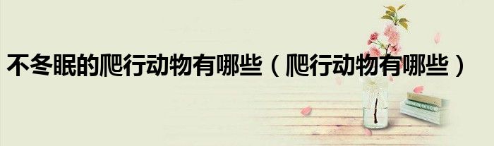 不冬眠的爬行動(dòng)物有哪些（爬行動(dòng)物有哪些）