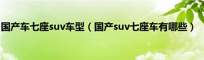 國(guó)產(chǎn)車七座suv車型（國(guó)產(chǎn)suv七座車有哪些）