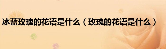 冰藍玫瑰的花語是什么（玫瑰的花語是什么）