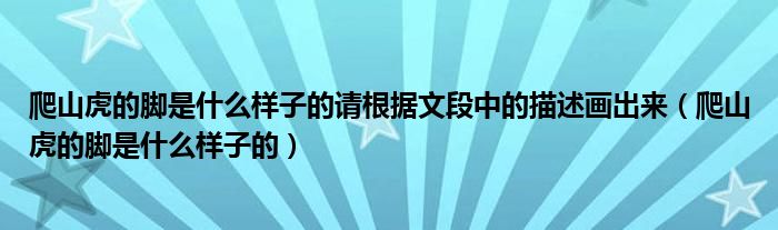 爬山虎的腳是什么樣子的請根據(jù)文段中的描述畫出來（爬山虎的腳是什么樣子的）