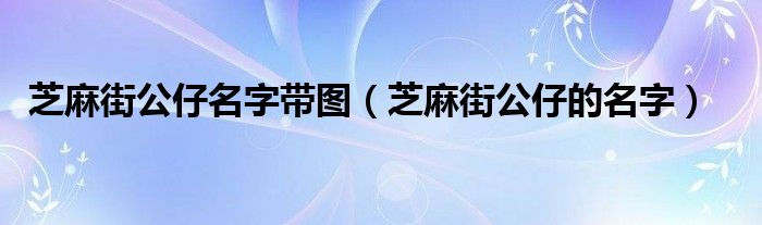 芝麻街公仔名字帶圖（芝麻街公仔的名字）