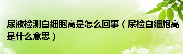 尿液檢測(cè)白細(xì)胞高是怎么回事（尿檢白細(xì)胞高是什么意思）