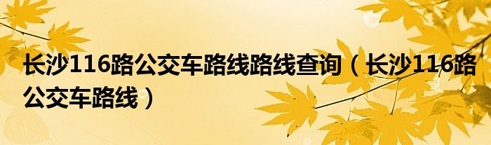 長(zhǎng)沙116路公交車路線路線查詢（長(zhǎng)沙116路公交車路線）