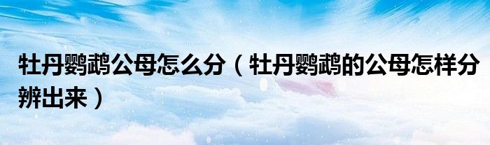 牡丹鸚鵡公母怎么分（牡丹鸚鵡的公母怎樣分辨出來）