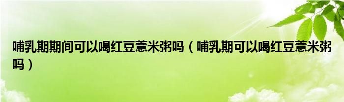 哺乳期期間可以喝紅豆薏米粥嗎（哺乳期可以喝紅豆薏米粥嗎）