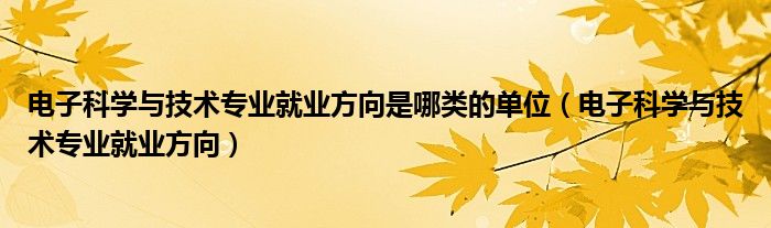 電子科學與技術專業(yè)就業(yè)方向是哪類的單位（電子科學與技術專業(yè)就業(yè)方向）