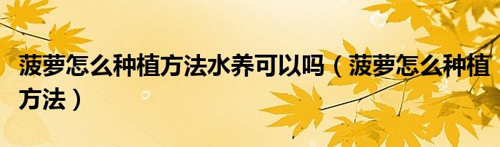 菠蘿怎么種植方法水養(yǎng)可以嗎（菠蘿怎么種植方法）