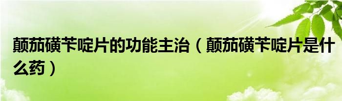 顛茄磺芐啶片的功能主治（顛茄磺芐啶片是什么藥）
