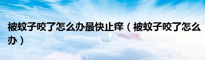 被蚊子咬了怎么辦最快止癢（被蚊子咬了怎么辦）