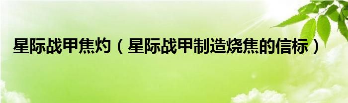 星際戰(zhàn)甲焦灼（星際戰(zhàn)甲制造燒焦的信標(biāo)）