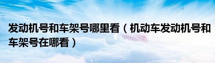 發(fā)動(dòng)機(jī)號(hào)和車架號(hào)哪里看（機(jī)動(dòng)車發(fā)動(dòng)機(jī)號(hào)和車架號(hào)在哪看）
