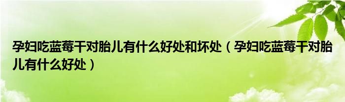 孕婦吃藍莓干對胎兒有什么好處和壞處（孕婦吃藍莓干對胎兒有什么好處）