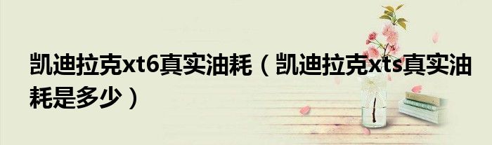 凱迪拉克xt6真實(shí)油耗（凱迪拉克xts真實(shí)油耗是多少）