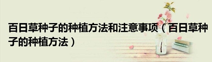百日草種子的種植方法和注意事項(xiàng)（百日草種子的種植方法）