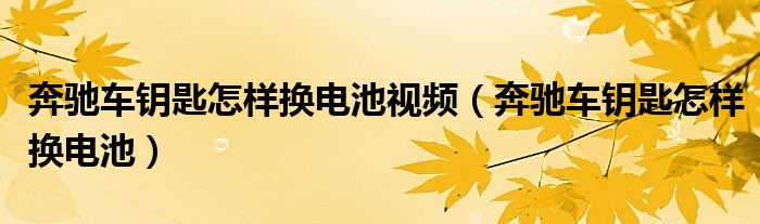 奔馳車鑰匙怎樣換電池視頻（奔馳車鑰匙怎樣換電池）