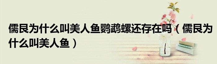 儒艮為什么叫美人魚鸚鵡螺還存在嗎（儒艮為什么叫美人魚）