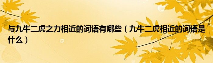 與九牛二虎之力相近的詞語有哪些（九牛二虎相近的詞語是什么）