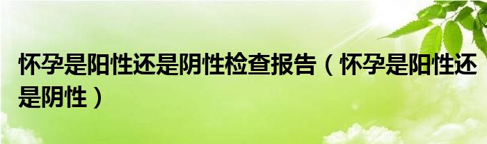 懷孕是陽性還是陰性檢查報告（懷孕是陽性還是陰性）