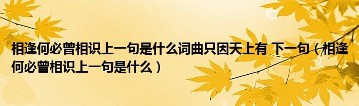 相逢何必曾相識上一句是什么詞曲只因天上有 下一句（相逢何必曾相識上一句是什么）
